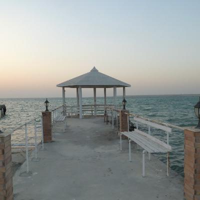 Pain, loss and the path to God -Yasmine Mogahed