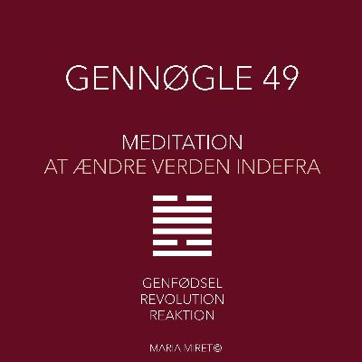 Gennøgle 49 Gennøgle 49