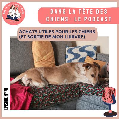 Achats utiles pour votre chien (et pitch de mon livre)