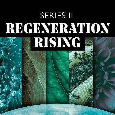 ReGeneration Rising S2E12: Re-enchanting the Earth with David Abram