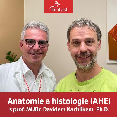 David Kachlík: Anatomie a histologie (AHE)
