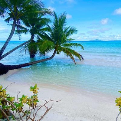 Le immensità della Micronesia Le immensità della Micronesia