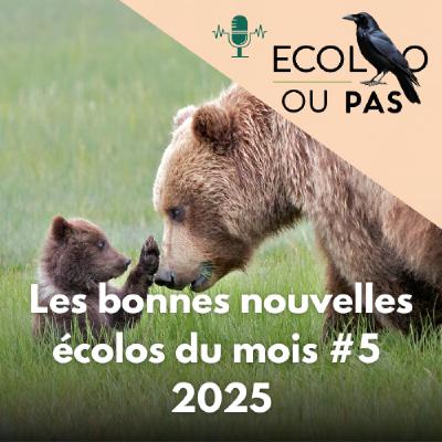 5 bonnes nouvelles écolos d’août 2025