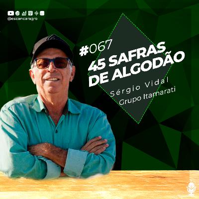 45 safras de algodão! Com Sérgio Vidal Arruda! 🟢 #067