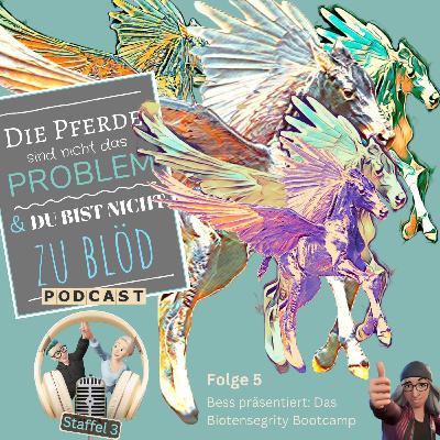 Bess präsentiert: Das Biotensegrity Bootcamp