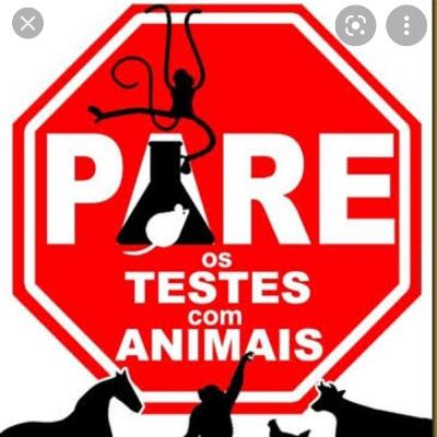 Testes em animais