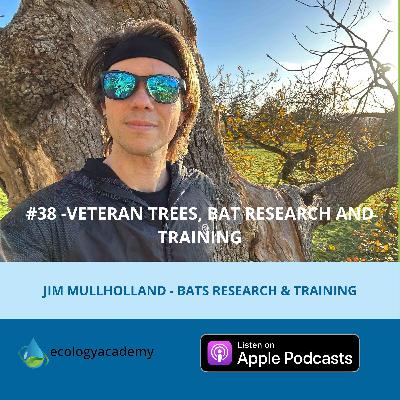 #38 -Veteran Trees, Bat Research and Training - Jim Mullholland