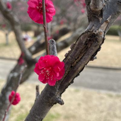 春こそより意識したい3つのこと🌱