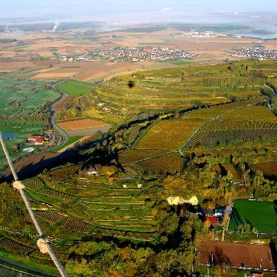 Sascha Fiek zur Schulart am Tuniberg