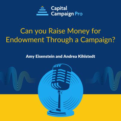 Can you Raise Money for Endowment Through a Campaign?