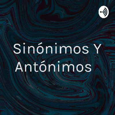 Sinónimos y antónimos