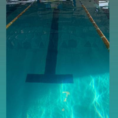 Definiciones y principios del entrenamiento deportivo Part I. La Supercompenzacion. Definiciones y principios del entrenamiento deportivo Part I. La Supercompenzacion.