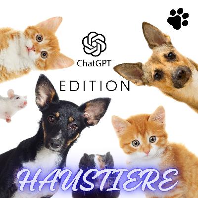 Hunde Ranking