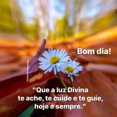 Lord you are mine light and my salvation to you I will surrender.