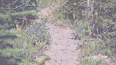 Lenten Series: Show me the Way Part IV