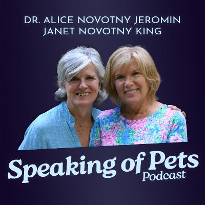 Why Anesthesia is Important for Pets Too | SOP ep. 96 - Dr. Sharon Hoffman & Dr. Carolyn McKune - Take 2 Why Anesthesia is Important for Pets Too | SOP ep. 96 - Dr. Sharon Hoffman & Dr. Carolyn McKune - Take 2
