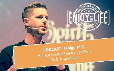 Hör auf spirituell sein zu wollen! Du bist spirituell! (Folge #11) Hör auf spirituell sein zu wollen! Du bist spirituell! (Folge #11)