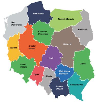 #273 European Poland join Eurozone, adopt 15% flat tax