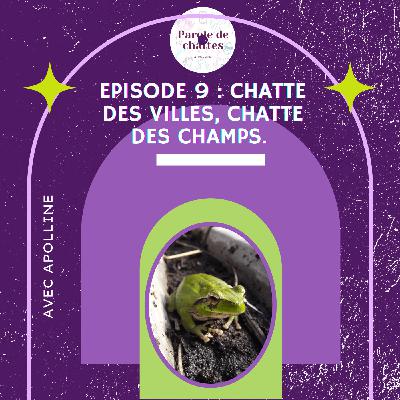 Épisode 9 - Exode urbaine et néoruralité : Chatte des villes, chatte des champs.