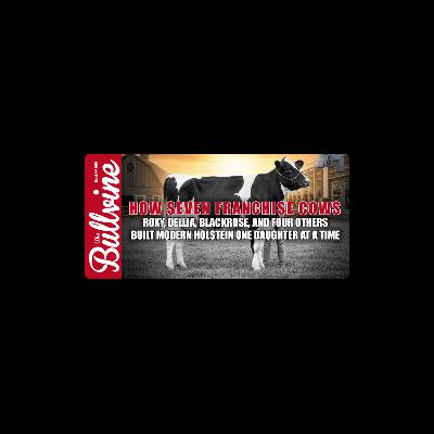 E514 How Seven Franchise Cows: Roxy, Dellia, Blackrose, and Four Others Built Modern Holstein – One Daughter at a Time E514 How Seven Franchise Cows: Roxy, Dellia, Blackrose, and Four Others Built Modern Holstein – One Daughter at a Time