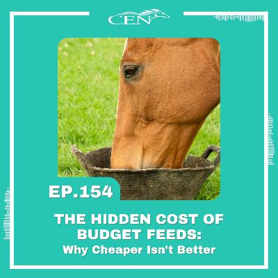 Ep. 154 | THE HIDDEN COST OF BUDGET FEEDS: Why Cheaper Isn’t Better Ep. 154 | THE HIDDEN COST OF BUDGET FEEDS: Why Cheaper Isn’t Better