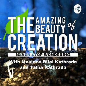 Episode 52: Animals that came back from extinction Episode 52: Animals that came back from extinction