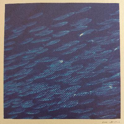 歯んなりラジオ#31