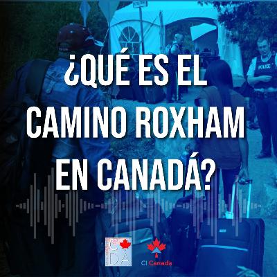 #11 ¿Qué es el camino Roxham en Canadá?