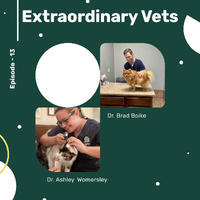 VETR Health: Where Your Pet Feels at Home VETR Health: Where Your Pet Feels at Home