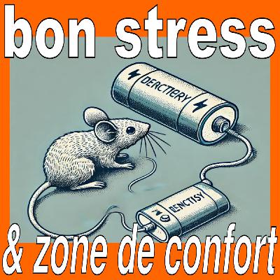#12 Bon stress et zone de confort (fausses théories)