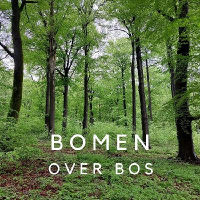 Bomen over bos 3: Ute Sass-Klaassen