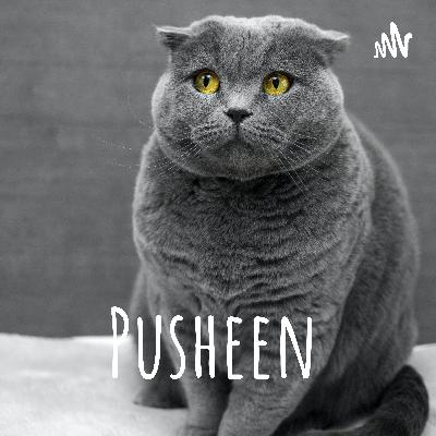 Pastel pusheen & dragonsheen