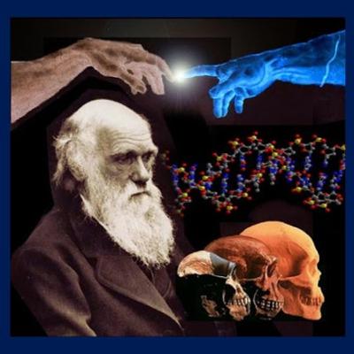 Neodarwinismo
