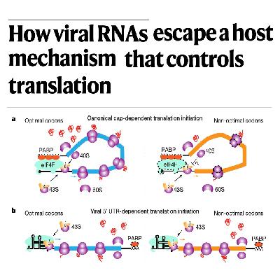 707-Viral Evasion of Host Codon Usage 707-Viral Evasion of Host Codon Usage