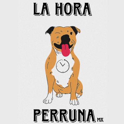 Episodio 13 - Las travesuras de niños 2