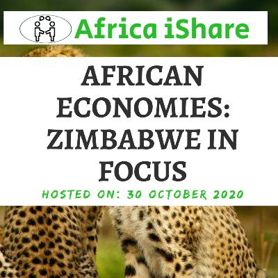 African economies: Zimbabwe in Focus
