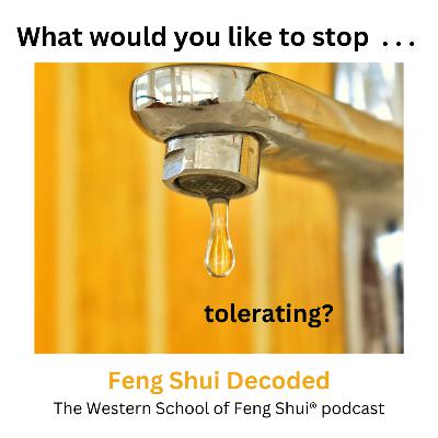 FSD S4 E3: What are you tolerating?