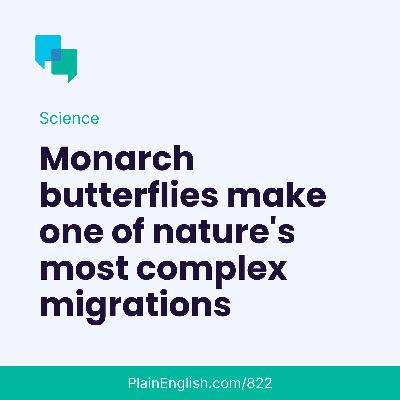 The world’s biggest butterfly migration