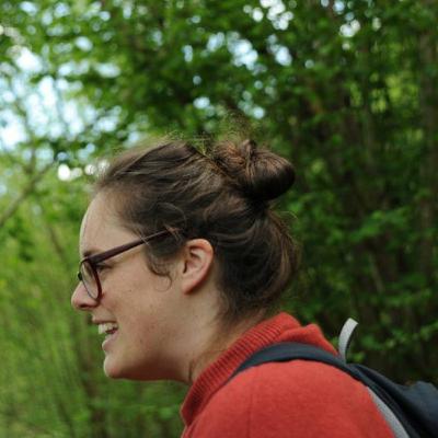 A fly’s-eye-view of Among the Trees