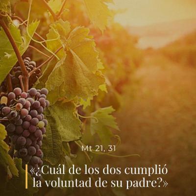 Mateo 21, 28-32 – III Martes de Adviento