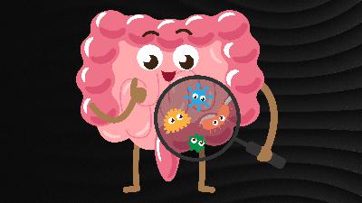 #346: Stop Guessing About Gut Health—Start Focusing on Fiber