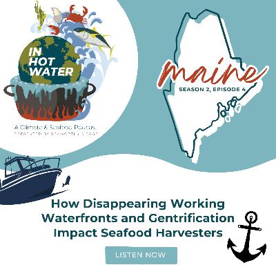 In Hot Water: How Disappearing Working Waterfronts and Gentrification Impact Seafood Harvesters
