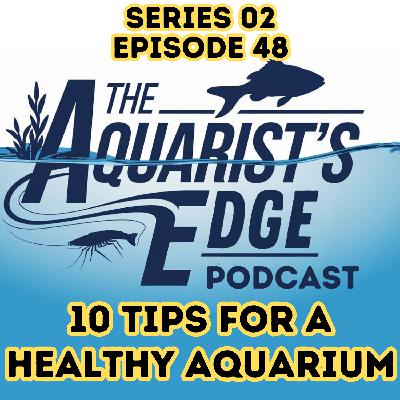 10 Tips For A Healthy Freshwater Aquarium