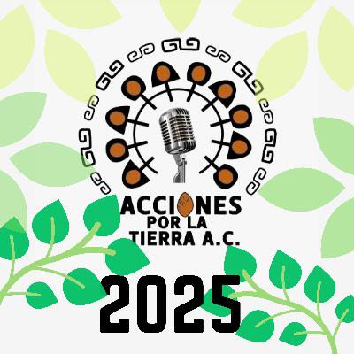 La Memoria Ambiental: Perdiendo la Base