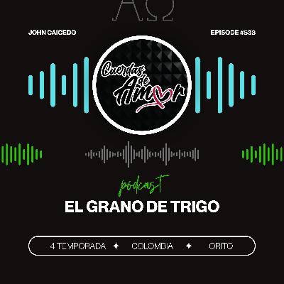 El grano de trigo