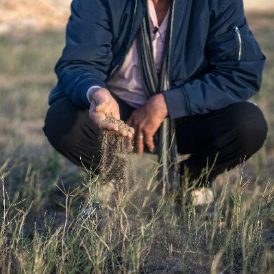 Klimawandel - In Marokko wird das Wasser knapp