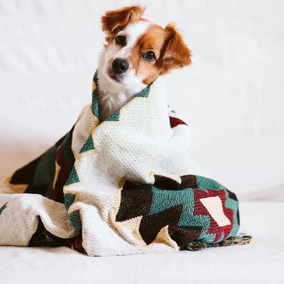 The Ultimate Guide to Couch Covers for Dogs: Protect Your Furniture Without Sacrificing Style