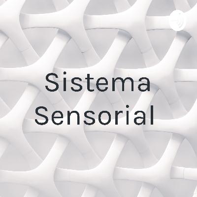 Sistema sensorial