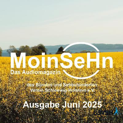 MoinSeHn - Ausgabe Juni 2025
