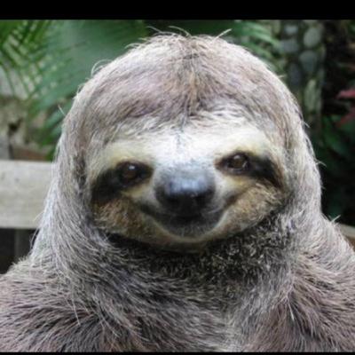 Conocimiento técnico